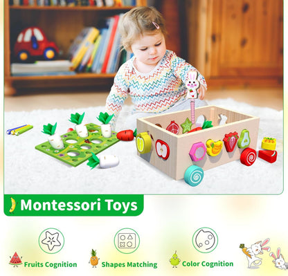 Montessori Garden Shape Sorter